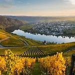 Hotel- Weingut- Moselloreley 2* Piesport