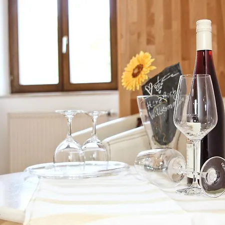 Hotel- Weingut- Moselloreley Hotell 2*