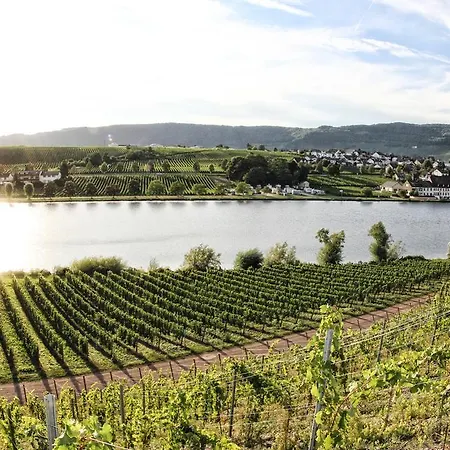 Hotel- Weingut- Moselloreley Piesport