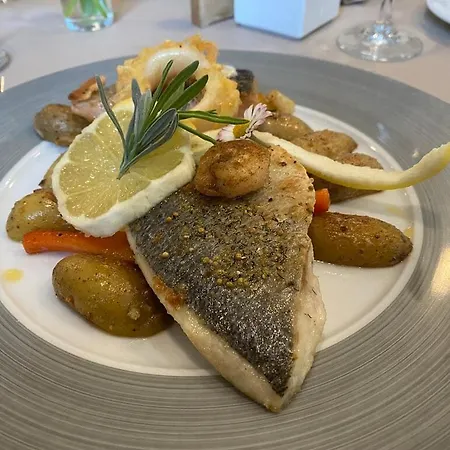 Hotel Hotel- Weingut- Moselloreley