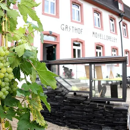 Hotell Hotel- Weingut- Moselloreley