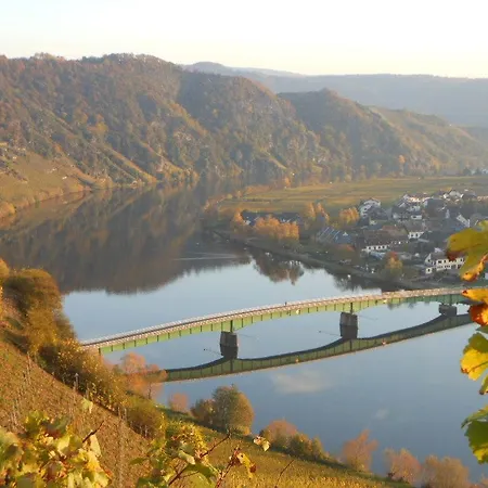 Hotel- Weingut- Moselloreley Hotell 2*