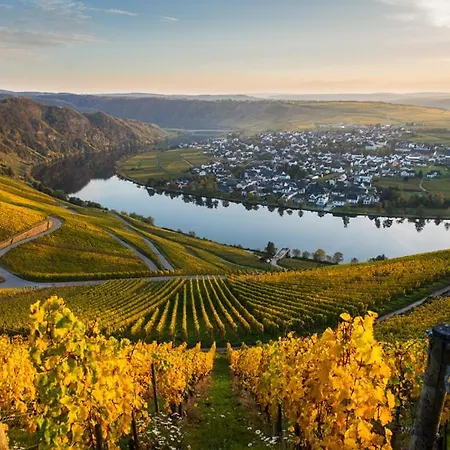 Hotel- Weingut- Moselloreley 2* Piesport