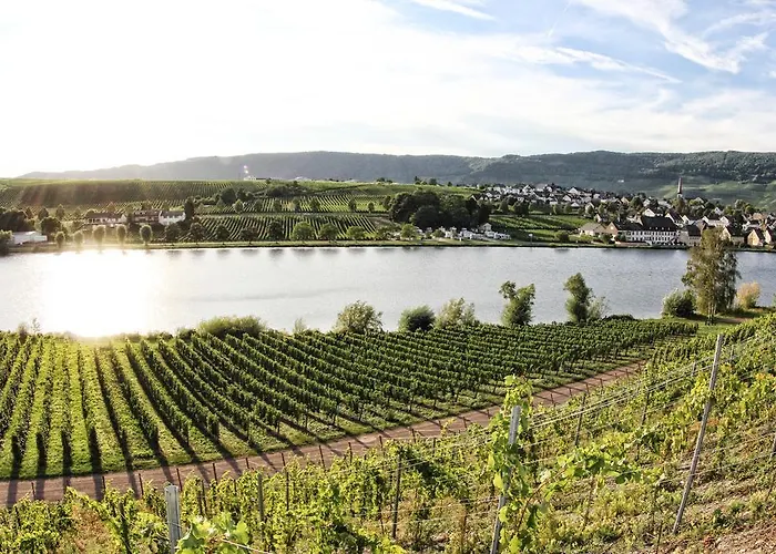Hotel- Weingut- Moselloreley פיספורט