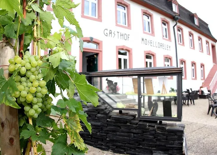 מלון Hotel- Weingut- Moselloreley