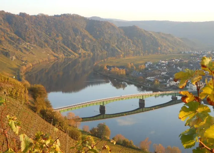 Hotel- Weingut- Moselloreley Hotel 2*