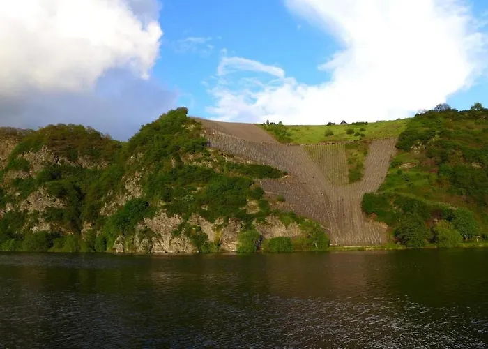 Hotel- Weingut- Moselloreley Hotel Piesport