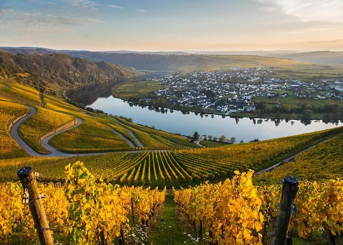 Hotel- Weingut- Moselloreley 2* פיספורט